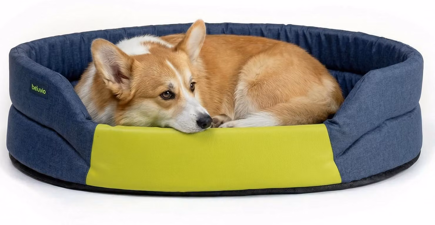 Peluvio: Cuccia per cani, impermeabile, facile da pulire, antiscivolo