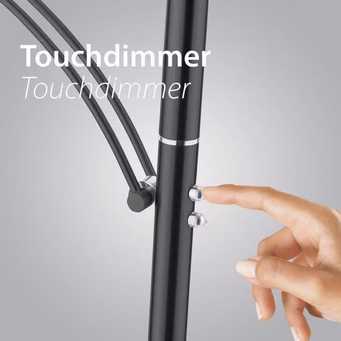 PAUL NEUHAUS Lampada da terra a LED antracite, dimmerabile, funzione di memorizzazione della temperatura di colore 2700-5000 K, codice articolo 673-13