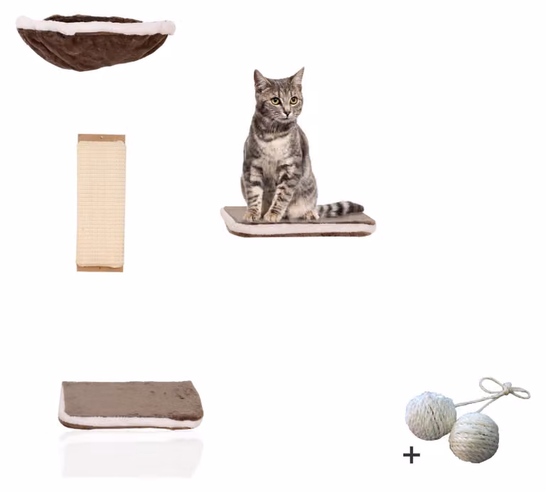Rohrschneider, parete da arrampicata per gatti, composta da quattro elementi, mobili per gatti da montare a parete, elementi murali, giocattoli per gatti con una cuccia da parete, parco giochi per gatti con amaca, accessori, colore: grigio
