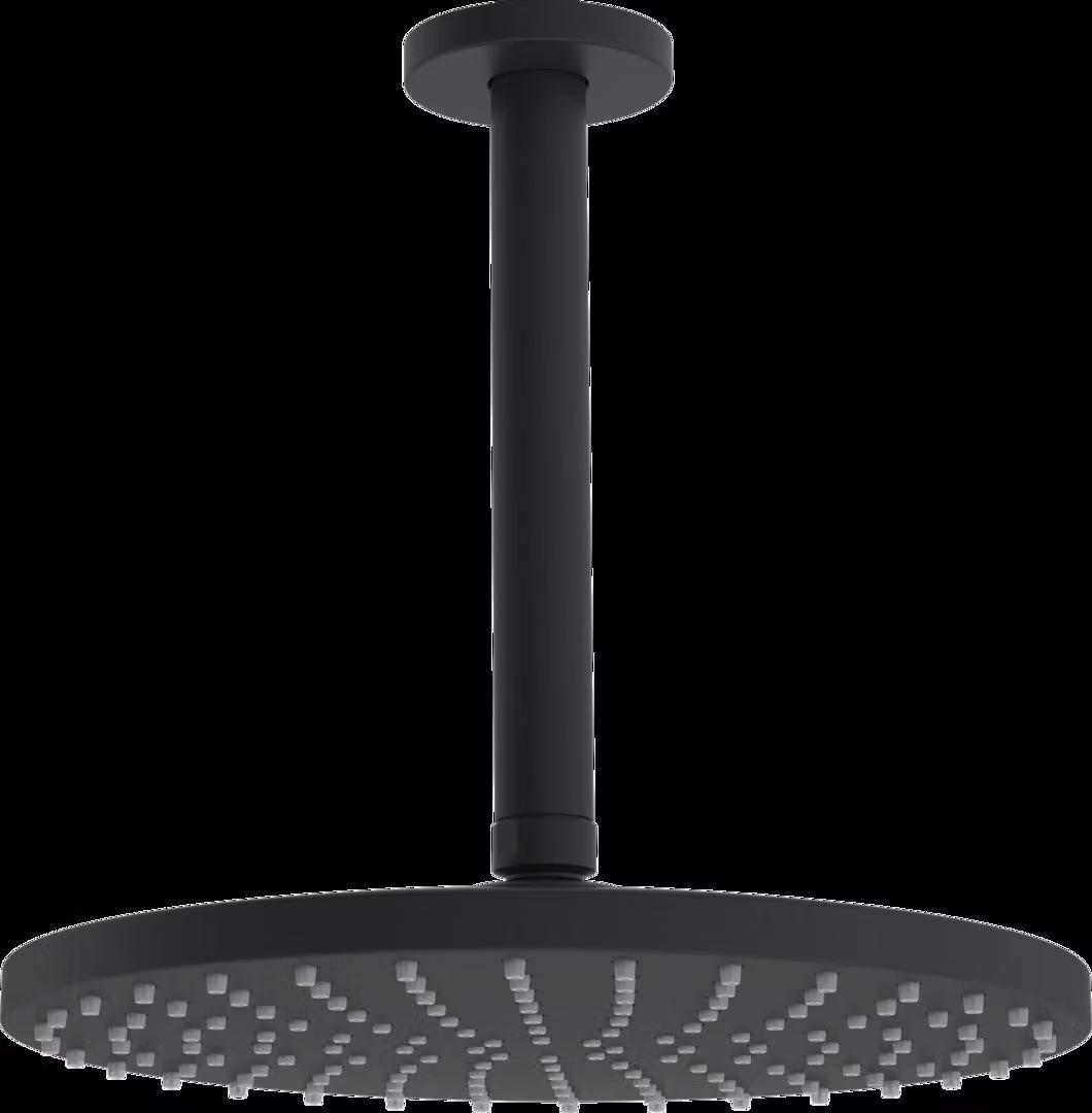 HANSA HANSAVIVA Douche de tête, ronde, diamètre 250mm, 1 jet, montage au plafond, 4427020033, 4427020033