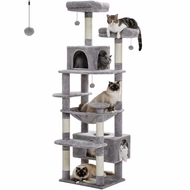 Albero per gatti grande e torre, design spazioso, diverse colonne per graffiare, comode amache, colore grigio, altezza 164 cm