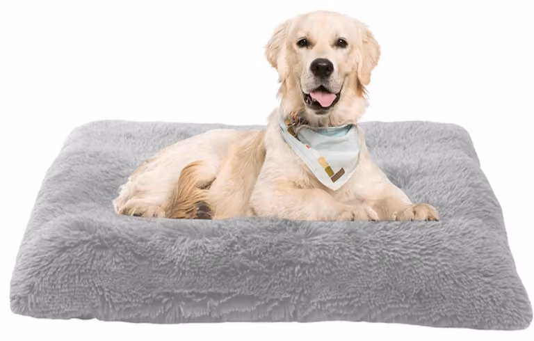 Materassino per cani, cuccia per gatti, divano per cani, cuscino per cani, cesta per cani, tappetino per cani, colore grigio, dimensioni 70x50x8 cm, lavabile, antiscivolo