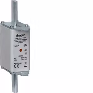 Cartuccia fusibile NH NH1C gG 500 V 100 A con segnalatore combinato e linguetta di presa in metallo