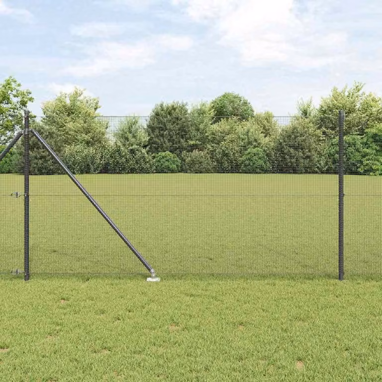 Recinzione in rete saldata con punte 10 x 1 m (L x H)