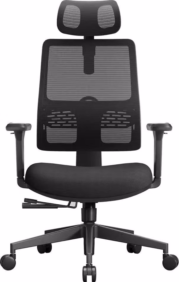 Sedia da ufficio ergonomica, supporto lombare adattivo, poggiatesta regolabile, nero