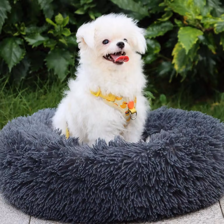 Cuccia per cani, forma rotonda, diametro 70 cm, colore grigio scuro, realizzata in cotone PP, lavabile