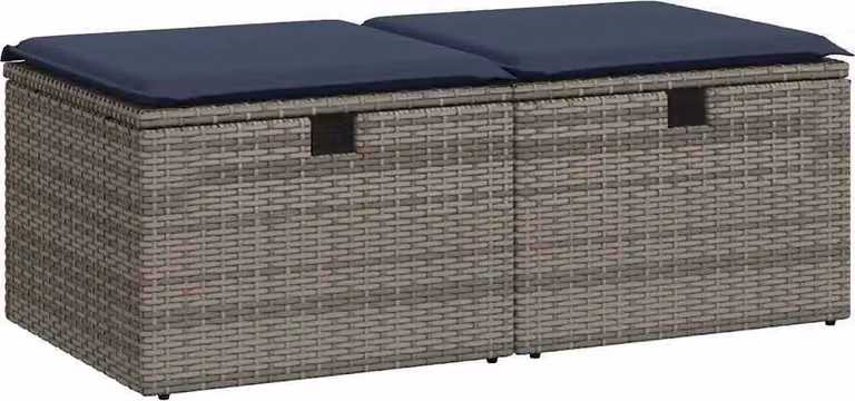 Set Divano Giardino 2 pz con Cuscini Grigio Polyrattan Acacia