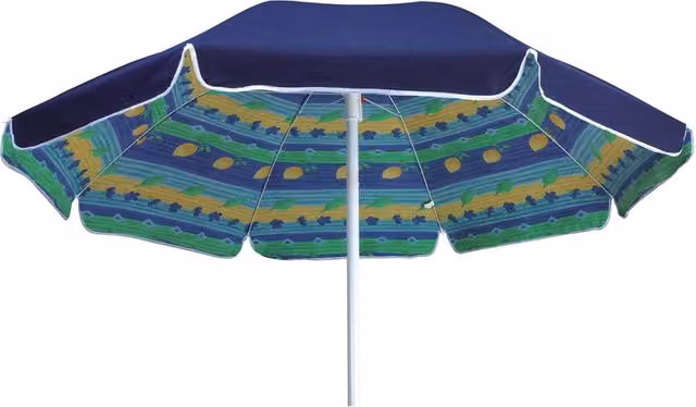 Ombrellone da Giardino Ø200 cm Telo in Policotone Blu