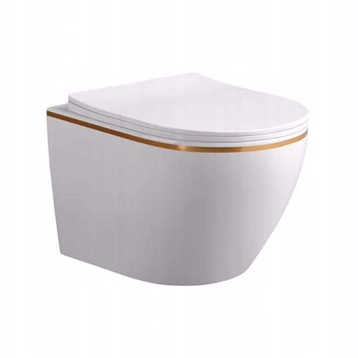 WC sospeso senza bordo Lavaggio con sedile soft-close Bianco