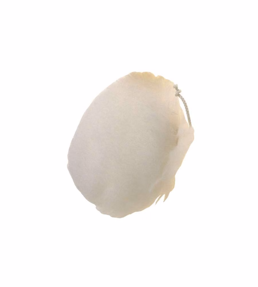 Cuffia Agnello Mm 140                    339.00 Pg