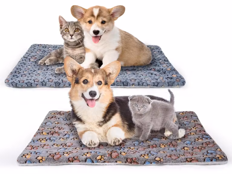 Cuccia per cani, materasso lavabile in pile, ideale per cani di piccola taglia, dimensioni 79x60 cm