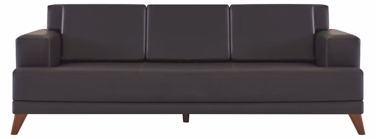 Ledersofa Modern 3-Sitzer Schwarz Einfarbig Couch Polster Kissen Holz