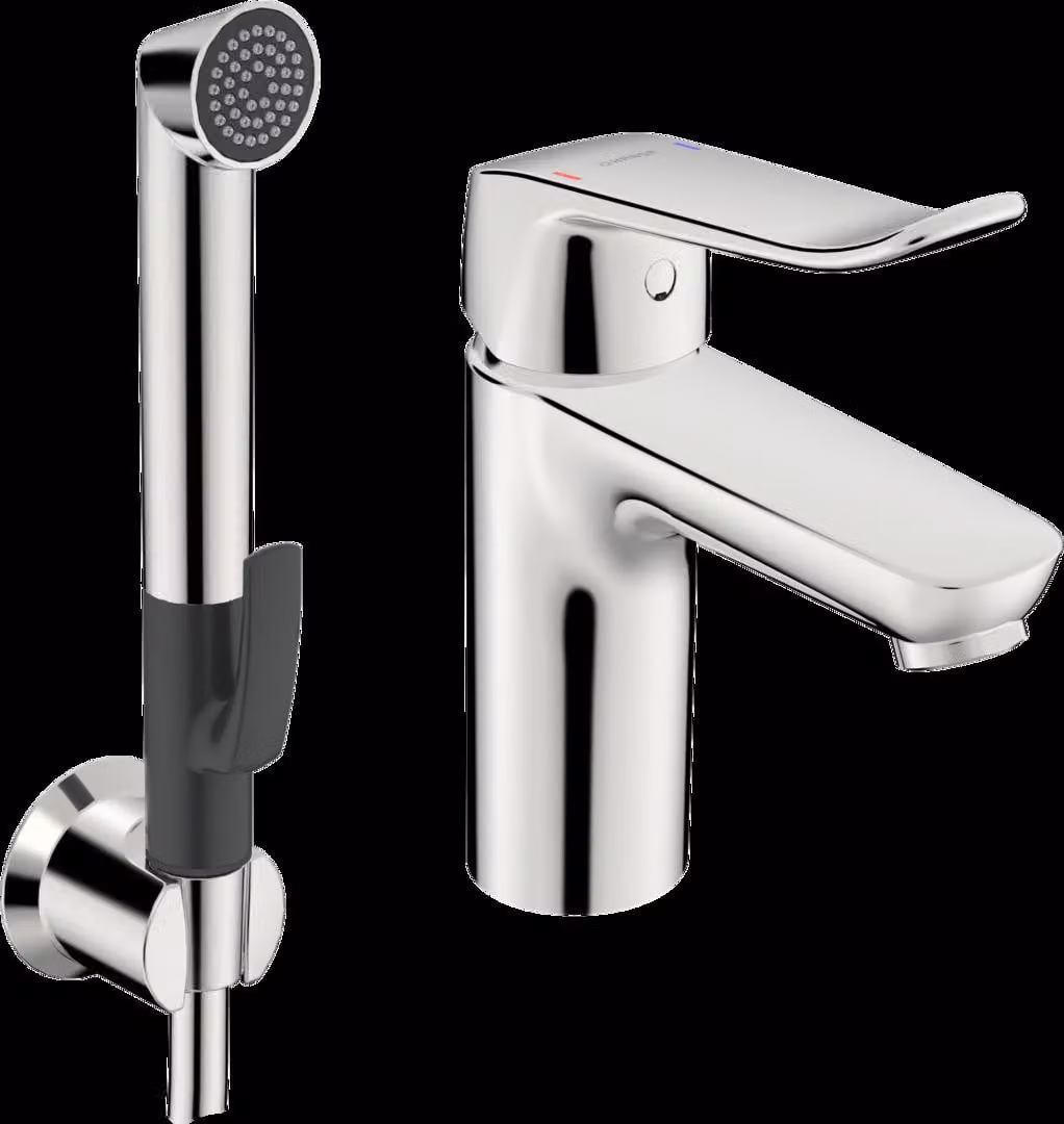HANSA HANSACARE Mitigeur de lavabo avec douchette fonctionnelle, saillie 114 mm, chromé, 46282206, 46282206