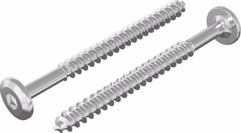 Viti in Legno 2 pcs Argento M6 x 70 mm Acciaio