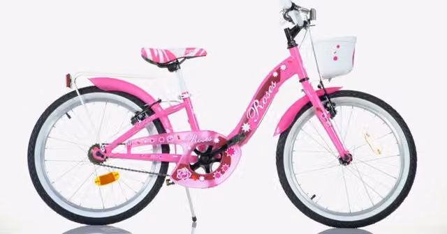 Bicicletta per bambini SCH ROSES 20 pollici rosa in metallo per età 6-10 anni