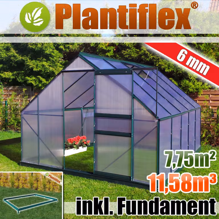 Serra in alluminio 11,58m³ con fondazione 250x310cm casa per piante da giardino serra in alluminio casa per pomodori 7,75m² - vetro 6mm - verde