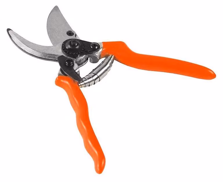 Forbici da giardino robuste - Utilizzo con una sola mano - Multiuso / TEGER
