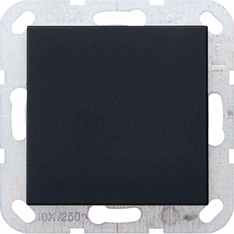 Gira 0268005 Copertura cieca con anello di supporto E2 nero/opaco