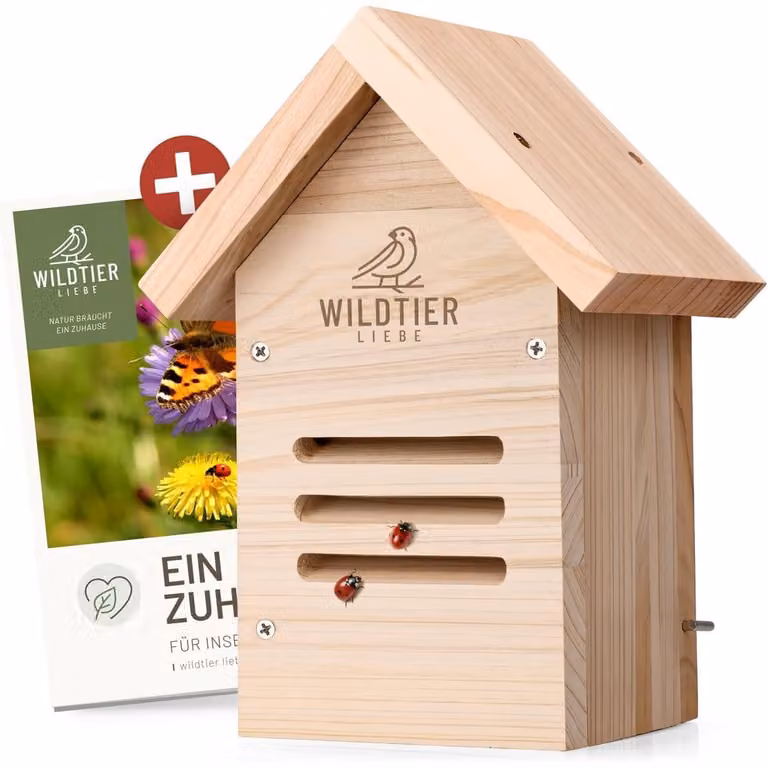 Albergo per insetti a forma di coccinella, realizzato in legno massello