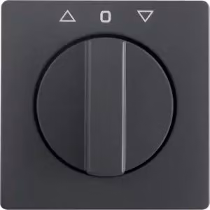 Berker ZENTRALST M DREHKN. ANTH. SAMT (1080608600 Q.X)