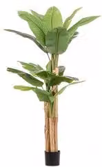 Pianta artificiale Banano Bizzotto verde Altezza: 200 cm