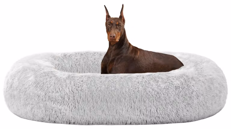 Solidchoice - Cuccia ortopedica per cani a forma di ciambella, lavabile e confortevole