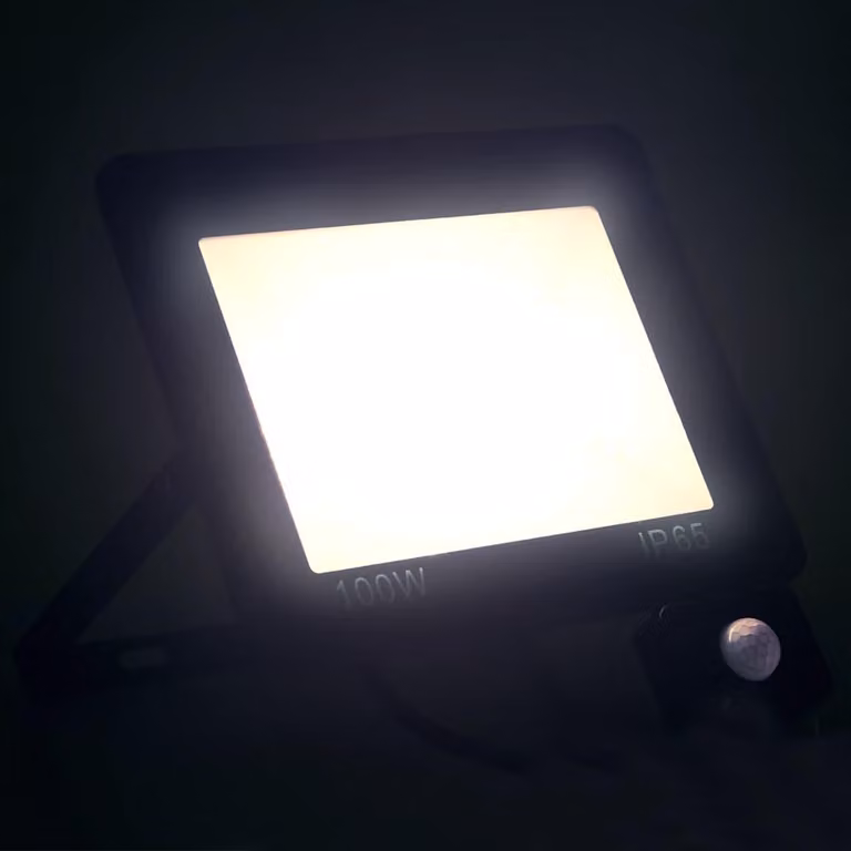 vidaXL Proiettore LED con sensore 100 W bianco freddo
