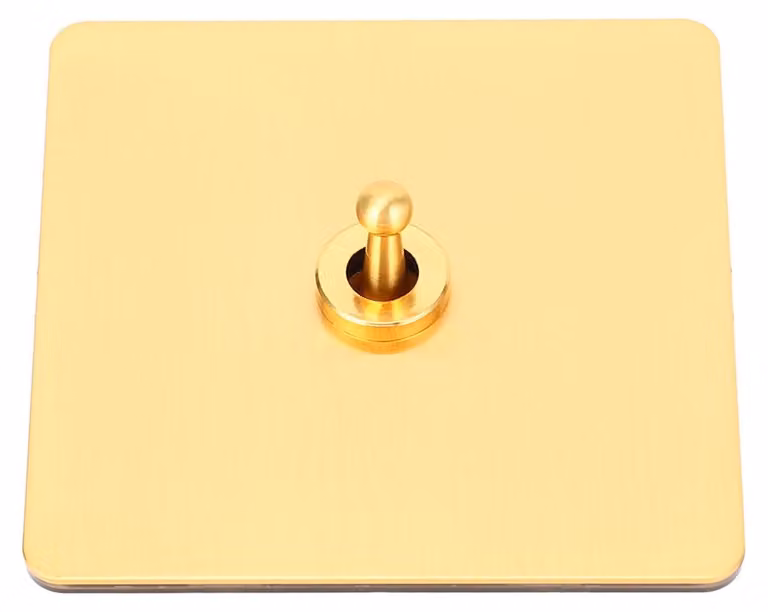 Interruttore unipolare a due vie, color oro, in acciaio inossidabile, 250 V AC, da montare a parete