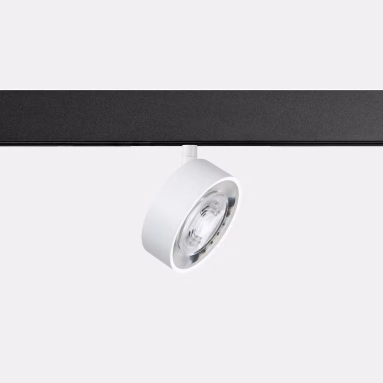 LedsC4: Lampada a LED a bassa tensione, alta efficienza energetica, adatta per interni ed esterni, grado di protezione IP, temperatura di colore da 2700K a 4000K, potenza da 5W a 40W, facile installazione, colore bianco