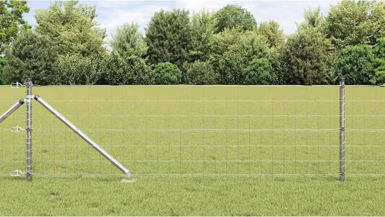 Maison Exclusive - Recinzione con Posto Argento 0,8 x 10 m Acciaio