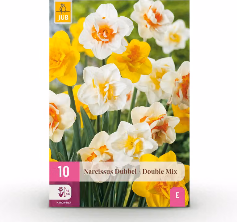 Bulbi da fiore - Narcisi 'Double mix' - Giallo e bianco - 10 unità - Bulbo 12/14 - 15-30cm - Ø5cm - Pianta da giardino - Multideal