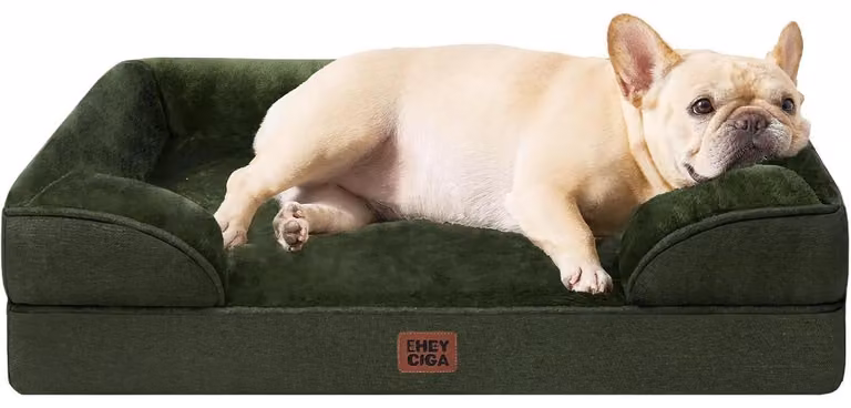 Cuccia ortopedica per cani, 76x51 cm, realizzata in memory foam, con bordo rialzato, colore verde scuro
