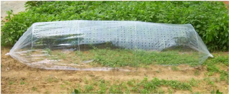 Serra Strend Pro Garden, 310x100 cm, mini serra in pellicola, perforata