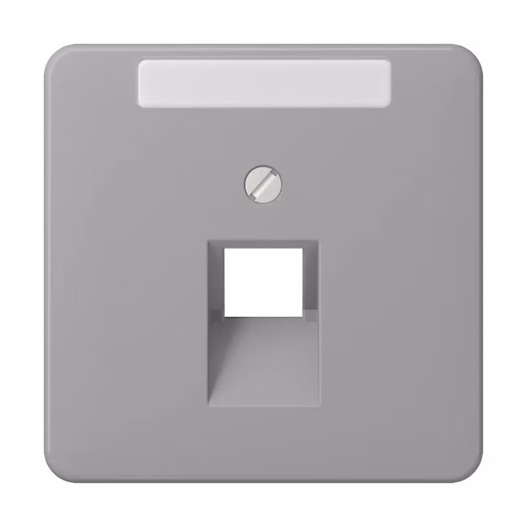 Jung CD569-1NAUAGR Copertura con campo di scrittura 6 x 37 mm grigio
