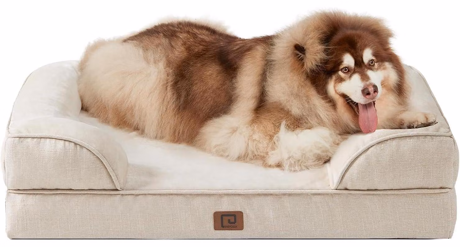 Cuccia ortopedica per cani, taglia XXL, 132x104 cm, realizzata in memory foam, lavabile, impermeabile, antiscivolo, color beige