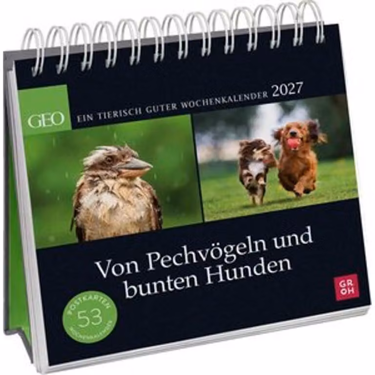 Calendario a cartoline 2027: Di sfortunati e cani colorati