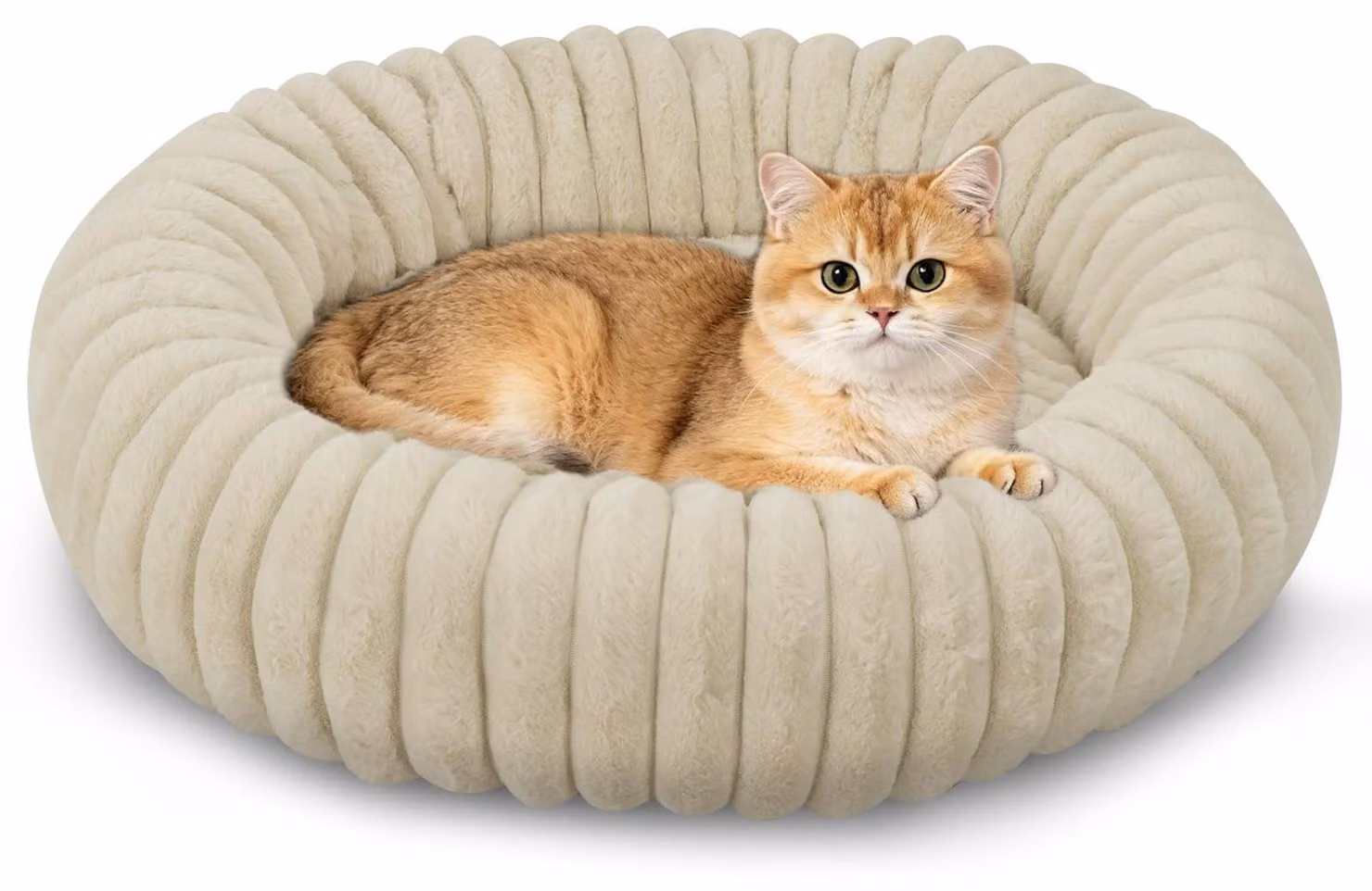 Cuccia rotonda, in peluche, diametro 50 cm, lavabile, adatta a cani e gatti