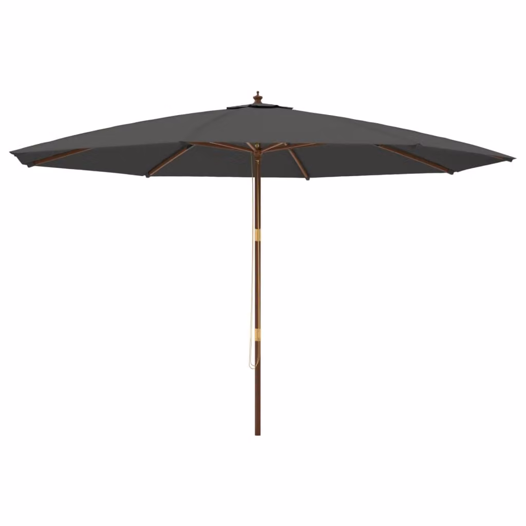 Ombrellone da Giardino con Palo in Legno Antracite 400x273 cm