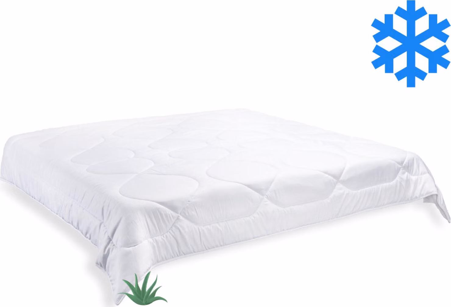 Coperta francese Aloe Vera invernale 240x220cm 2370g