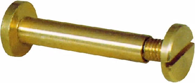 Set di 200 viti a cannocchiale in ottone lucido BricoGo, diametro 12 mm e lunghezza 20 mm, colore oro