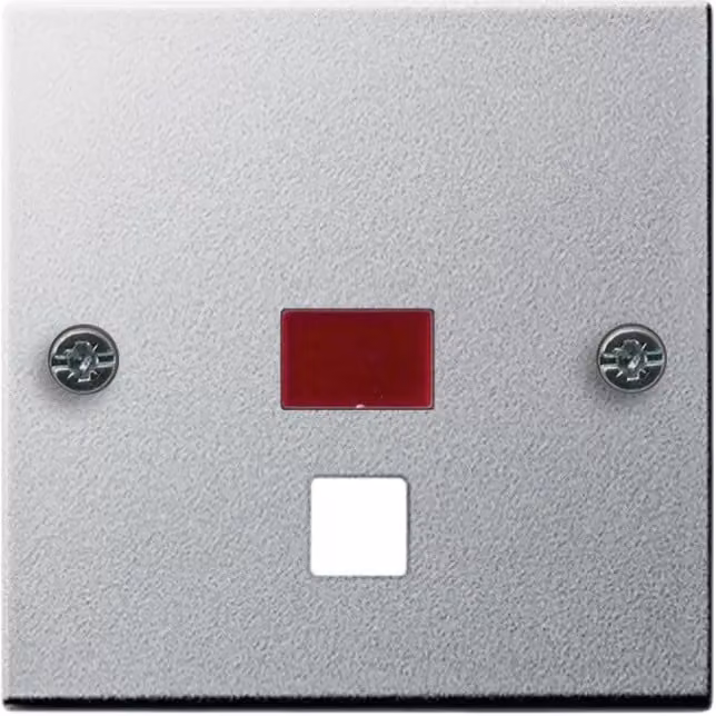 Copertura per pulsante/interruttore, sistema 55, colore alluminio. Codice prodotto: 063826