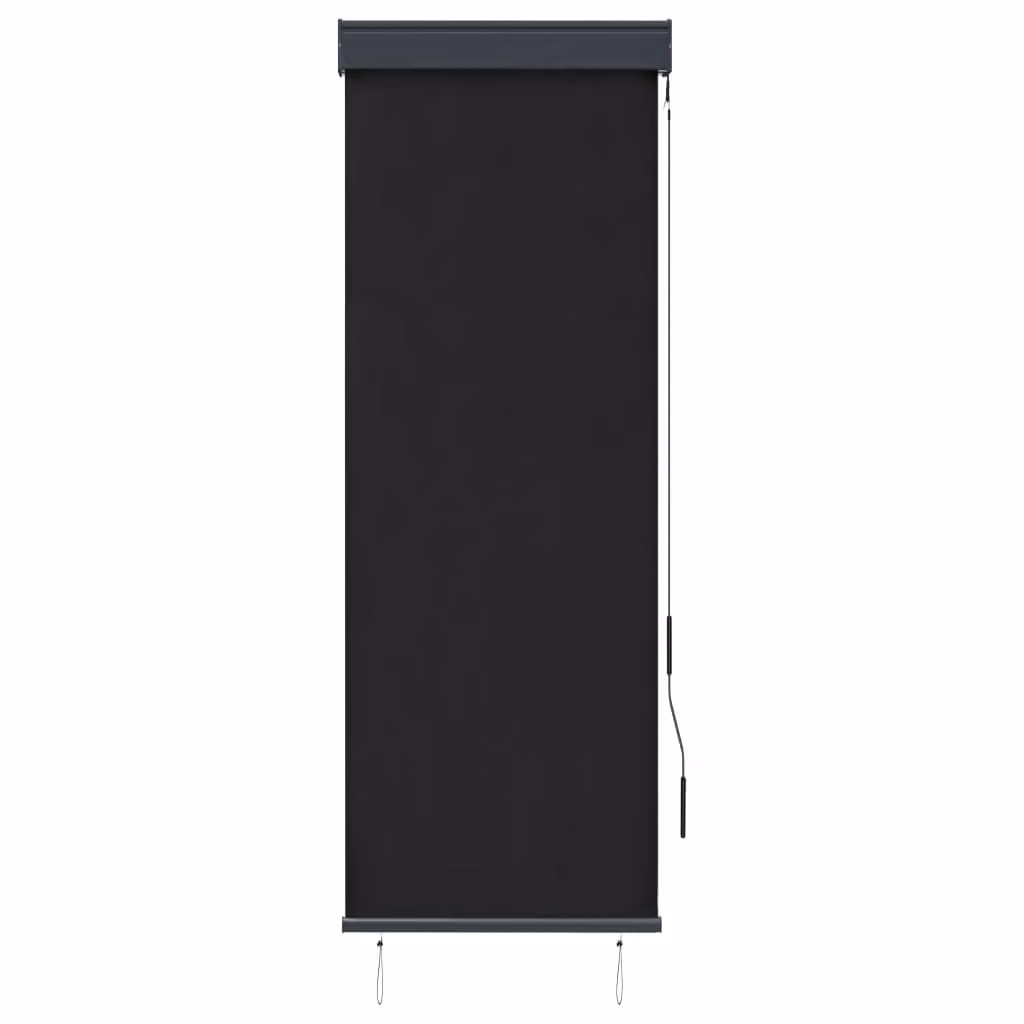 Tenda a Rullo per Esterni 60x250 cm Antracite