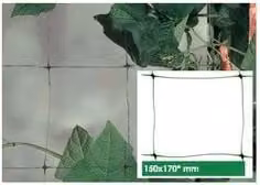 Rete per piante rampicanti e orticole Tenax in plastica bianca L: 5 m, H: 2 m