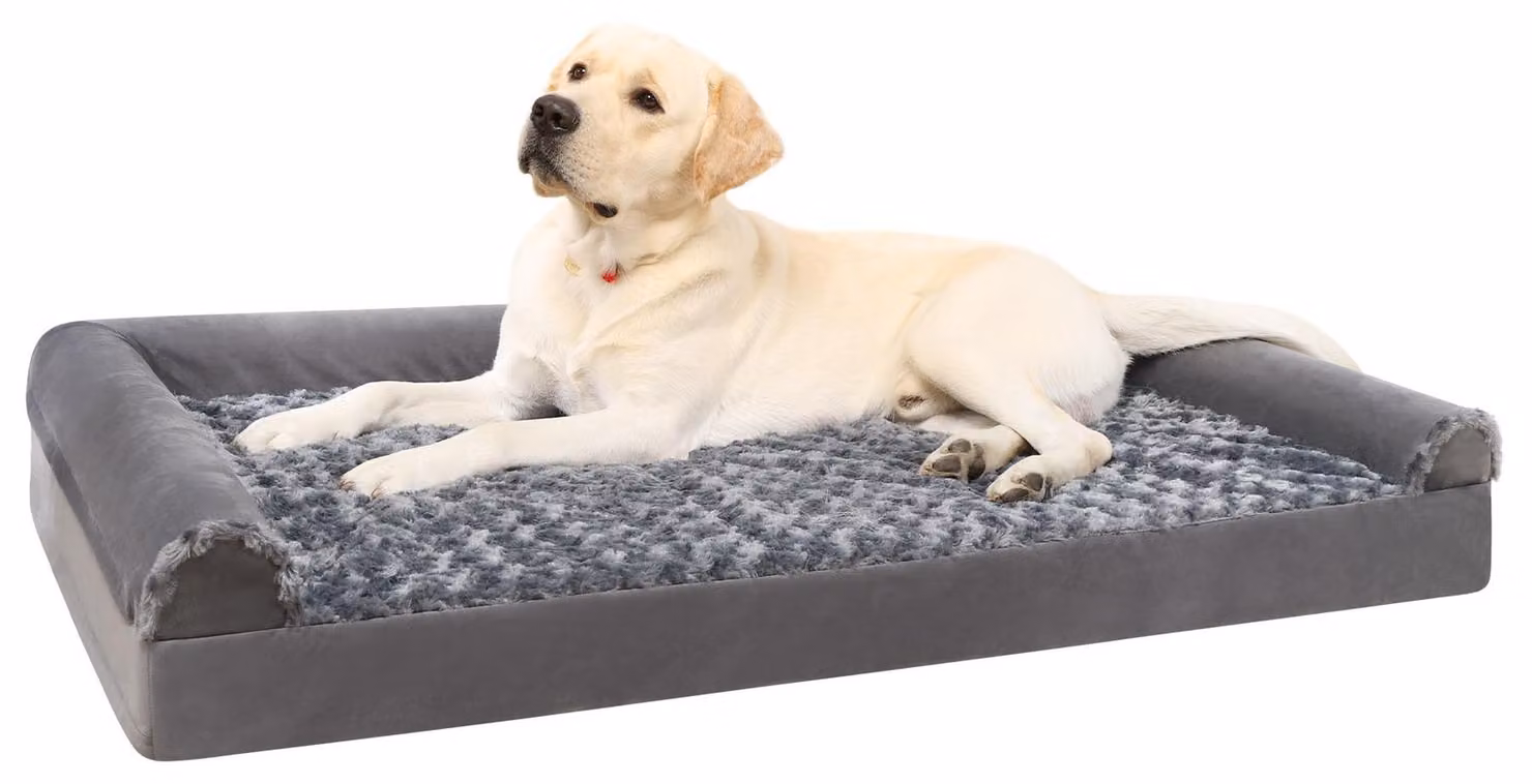 Omgoods - Cuccia ortopedica per cani di taglia media, lavabile, con bordi rialzati