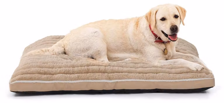 Cuccia per cani di grossa taglia, tappetino per cani lavabile, dimensioni 106 x 70 x 7 cm, colore beige