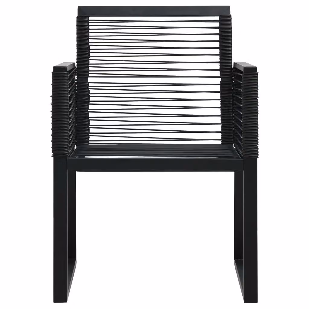Set di 2 sedie da giardino vidaXL in rattan e metallo nero con braccioli e finitura opaca – 2