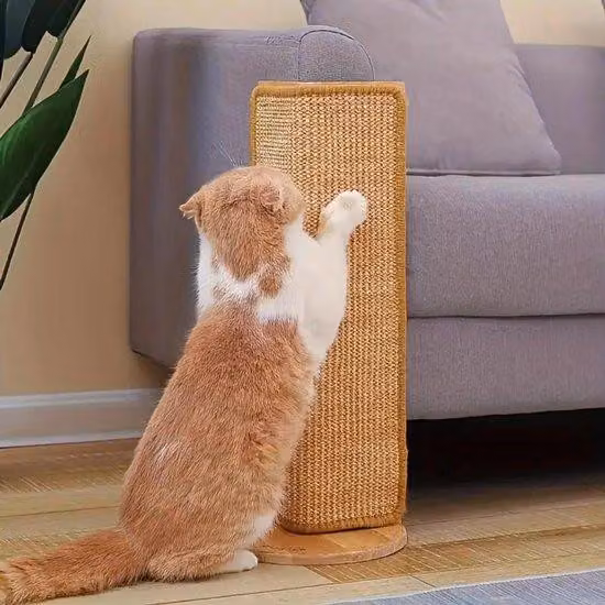 Cuccia per gatti in cartone - Design accattivante e robusto - Protezione dai graffi - Cuccia o tappetino per gatti - Accessorio ideale per la cura del gatto