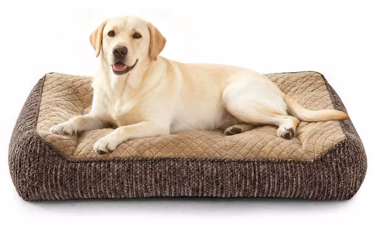Cuccia ortopedica per cani di grossa taglia, ergonomica, lavabile, con rivestimento removibile, antiscivolo, con bordo rialzato, realizzata in morbido pile a forma di fiocchi di neve, dimensioni 97x71x22 cm, colore marrone