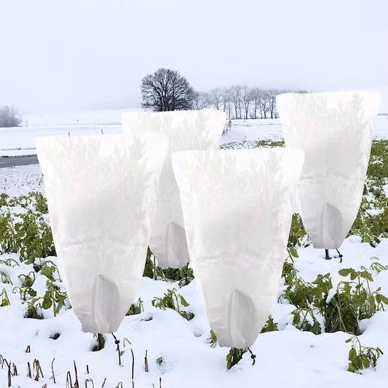Copertura protettiva per piante invernale 80x60 cm in tessuto non tessuto