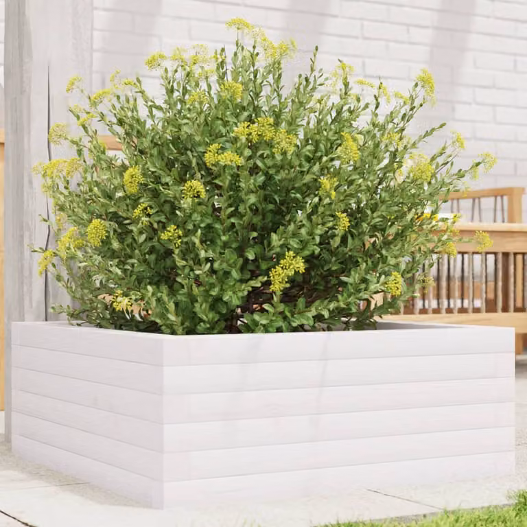 vidaXL Fioriera da Giardino in Legno di Pino Bianco L: 60 cm, P: 60 cm, H: 23 cm